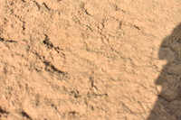JPG_5792