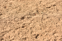 JPG_5960