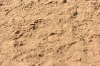 JPG_5721
