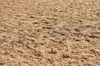 JPG_5695