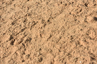 JPG_5706