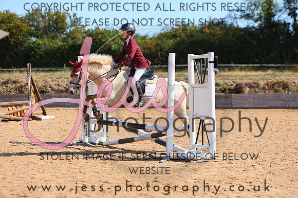 TSJ_0598