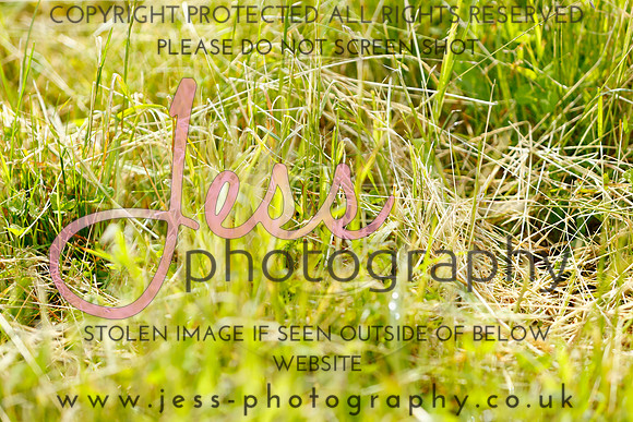 _J1_1720