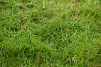 JPG_7711