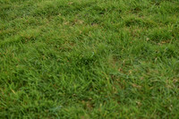 JPG_6984