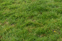 JPG_6974