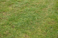 JPG_7062