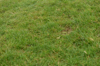 JPG_7071