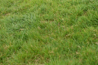 JPG_7080