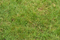 JPG_7300