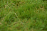 JPG_7558