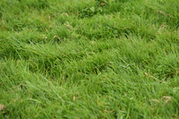 JPG_7128