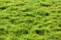 JPG_7160