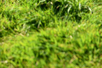 JPG_7169