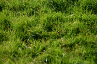 JPG_7180