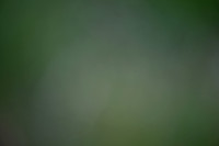 LPC (8)