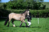 TGS1 (120)