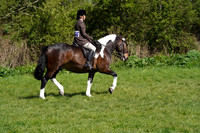 D0907488