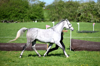 TGS1 (165)