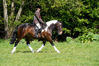 D0907619