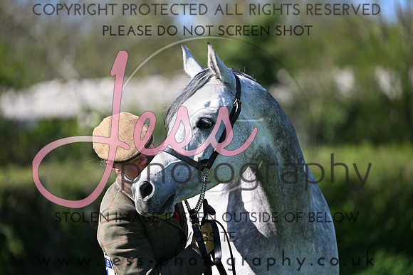 TGS1 (209)
