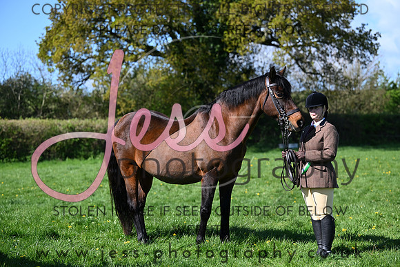 TGS1 (217)