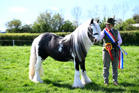 Tumpy Green Showing 19.04.26