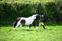 Thelwell