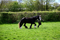 Best condition
