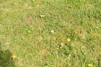 JPG_7904