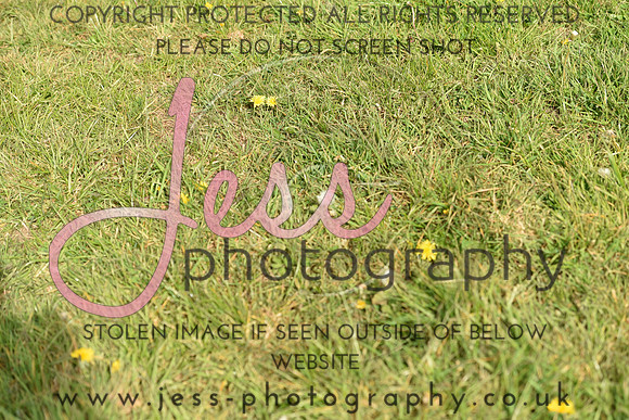 JPG_7904