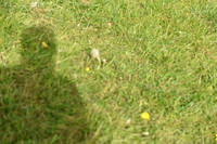 JPG_7937