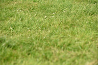 JPG_8248