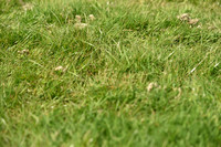 JPG_8445