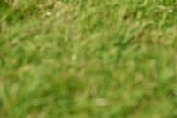 JPG_8460