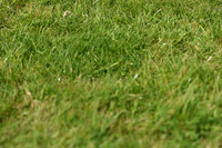 JPG_8527