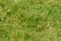 JPG_8501