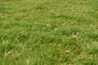 JPG_8514