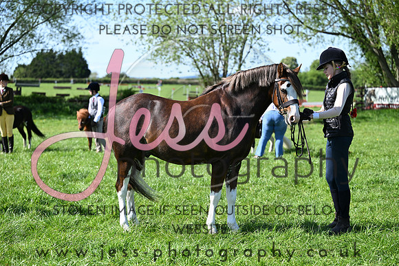 TGIS (272)