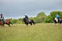 JPG_8682