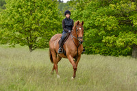 JPG_9081