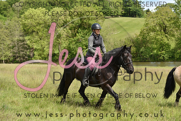 JPG_9371