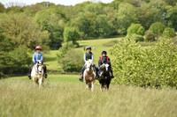 JPG_9546