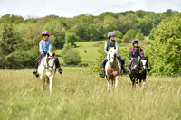 JPG_9553