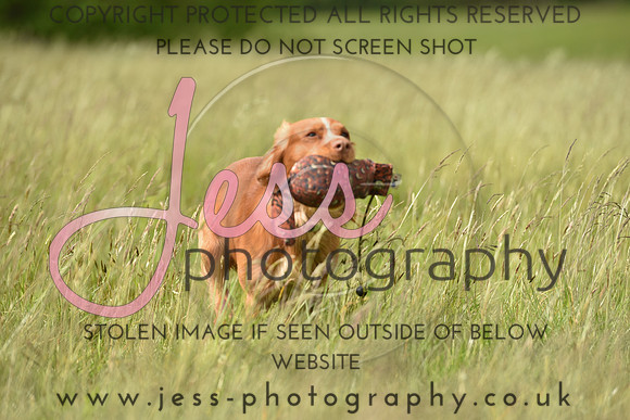 JPG_9698
