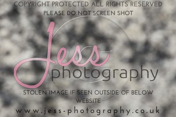 JES_6312