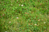 JPG_5545