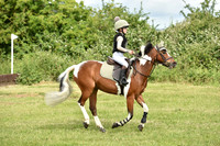 JPG_9954