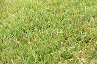 JPG_0432