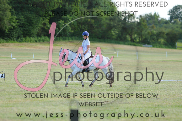 XC5_3337